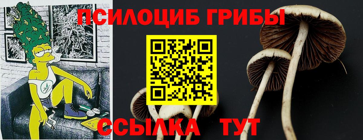 Галлюциногенные грибы Psilocybe Мирный